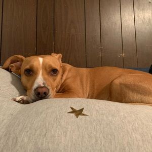 Meet your Posher, Melanie